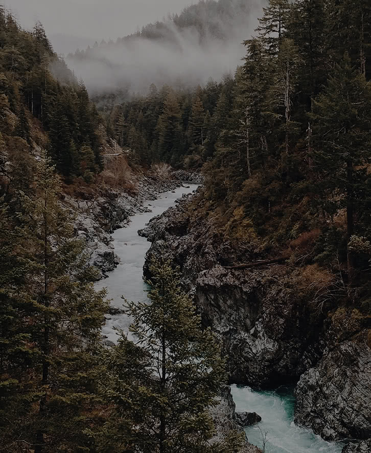 River Flowing Through the Mountains and Forest